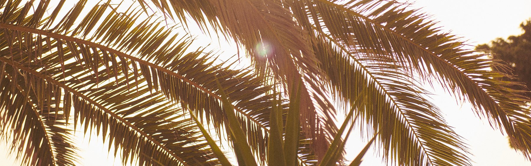 La Palma - Des Petits Hauts