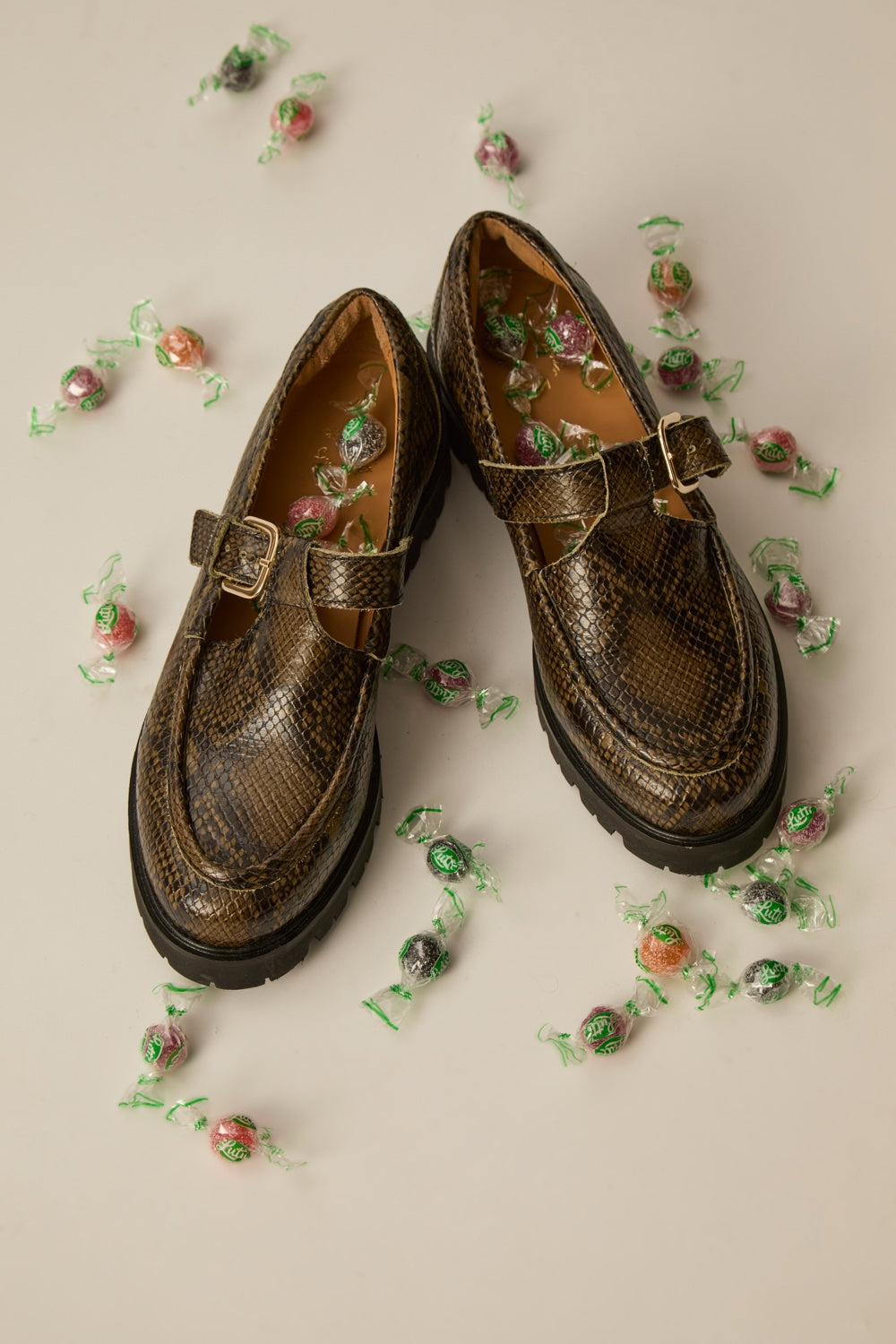 Mary Jane Phany3 Python The