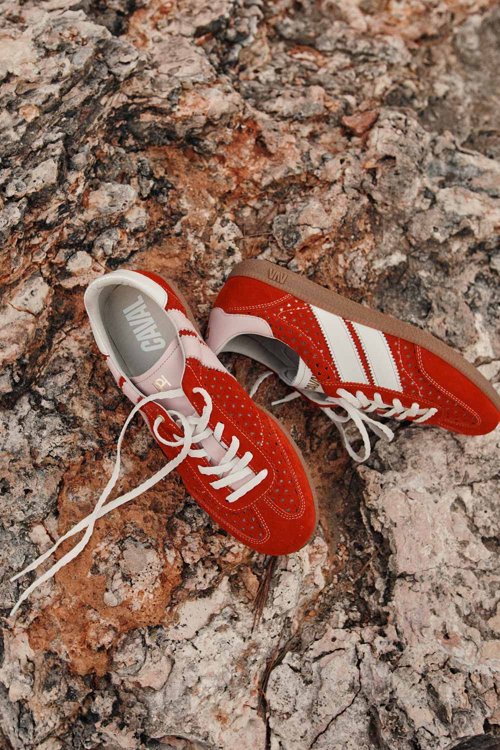 Baskets Pulse Homard