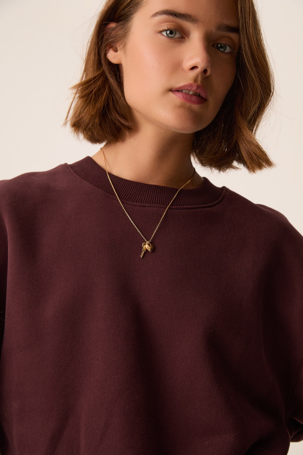 Sweat Shirt Joeme Prune