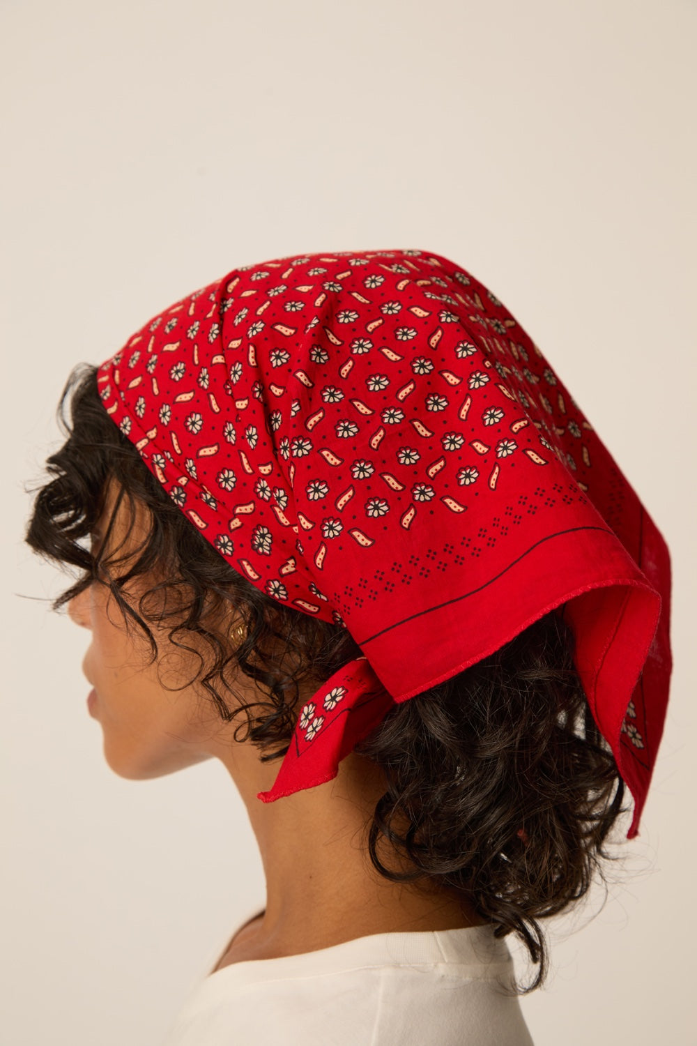 Foulard Nathanael Choco/Poudre