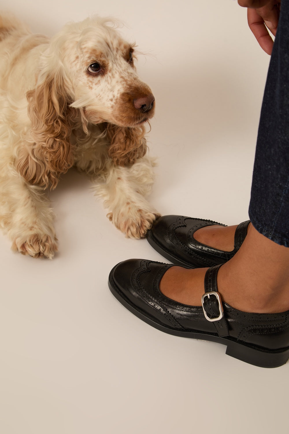 Chaussures Willa Noir