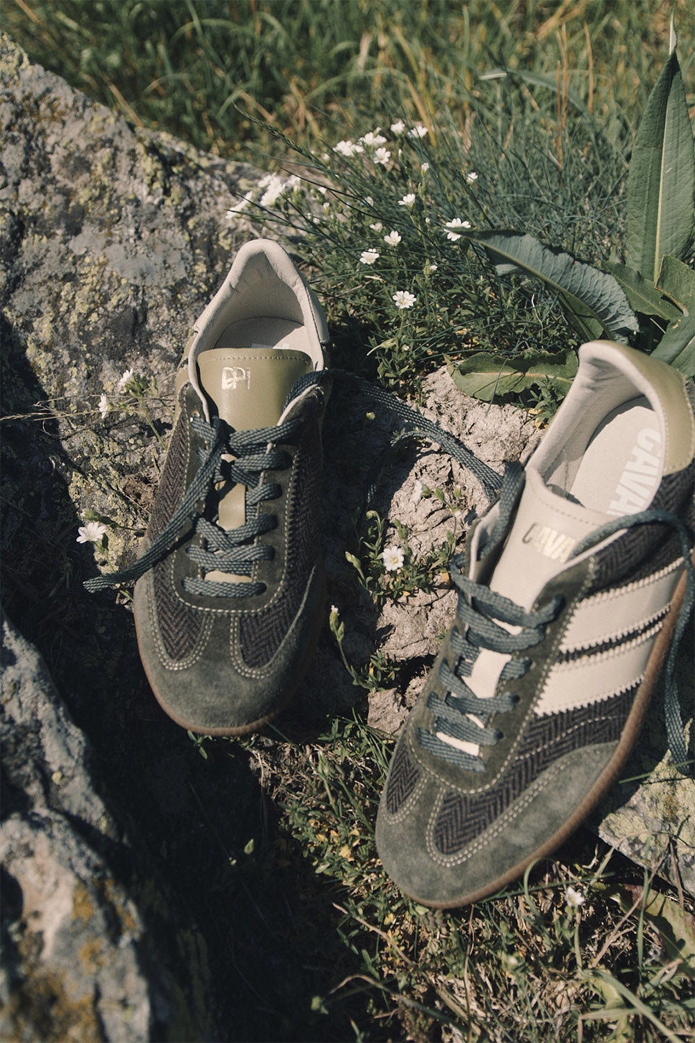 Chaussures Pulse Foret