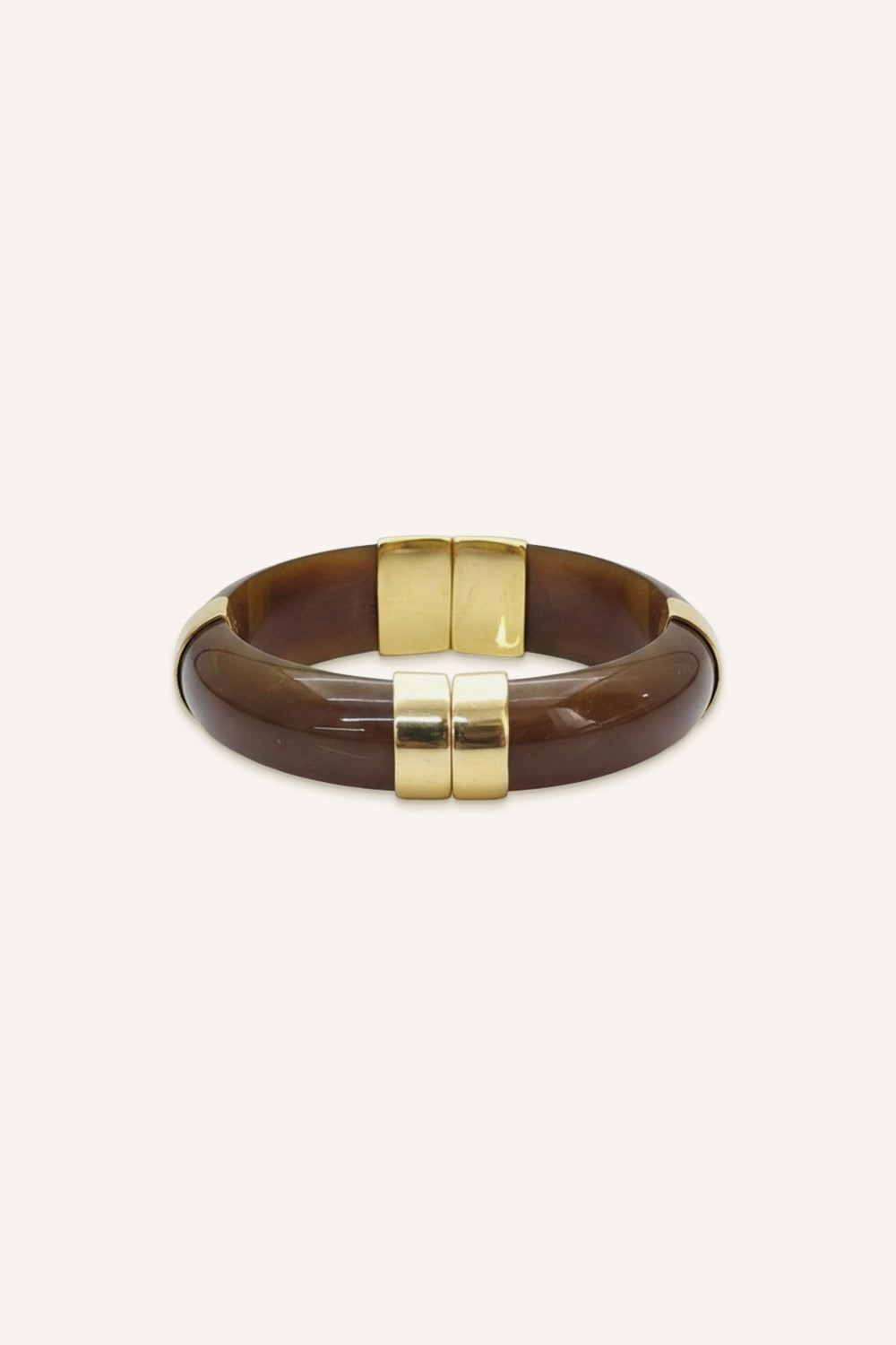 Jonc Adrien Tortue